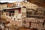 Skins drying, Fes